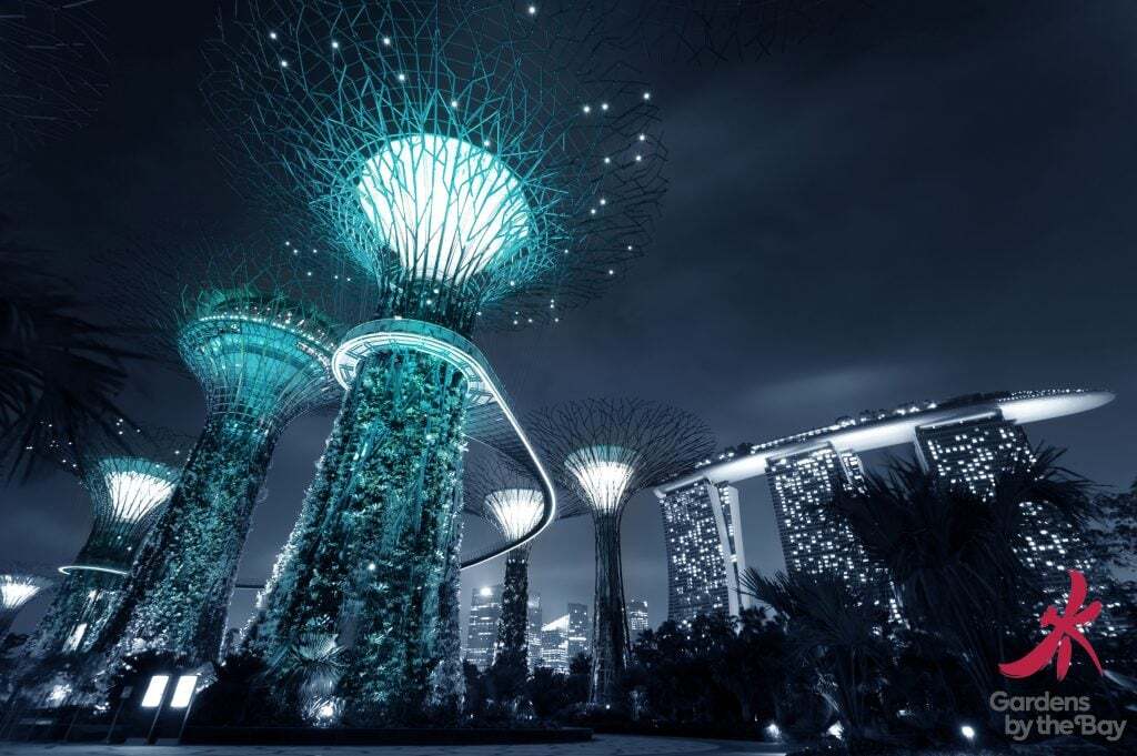 Capturing Eden: An amateurs guide to photographing Gardens by the Bay