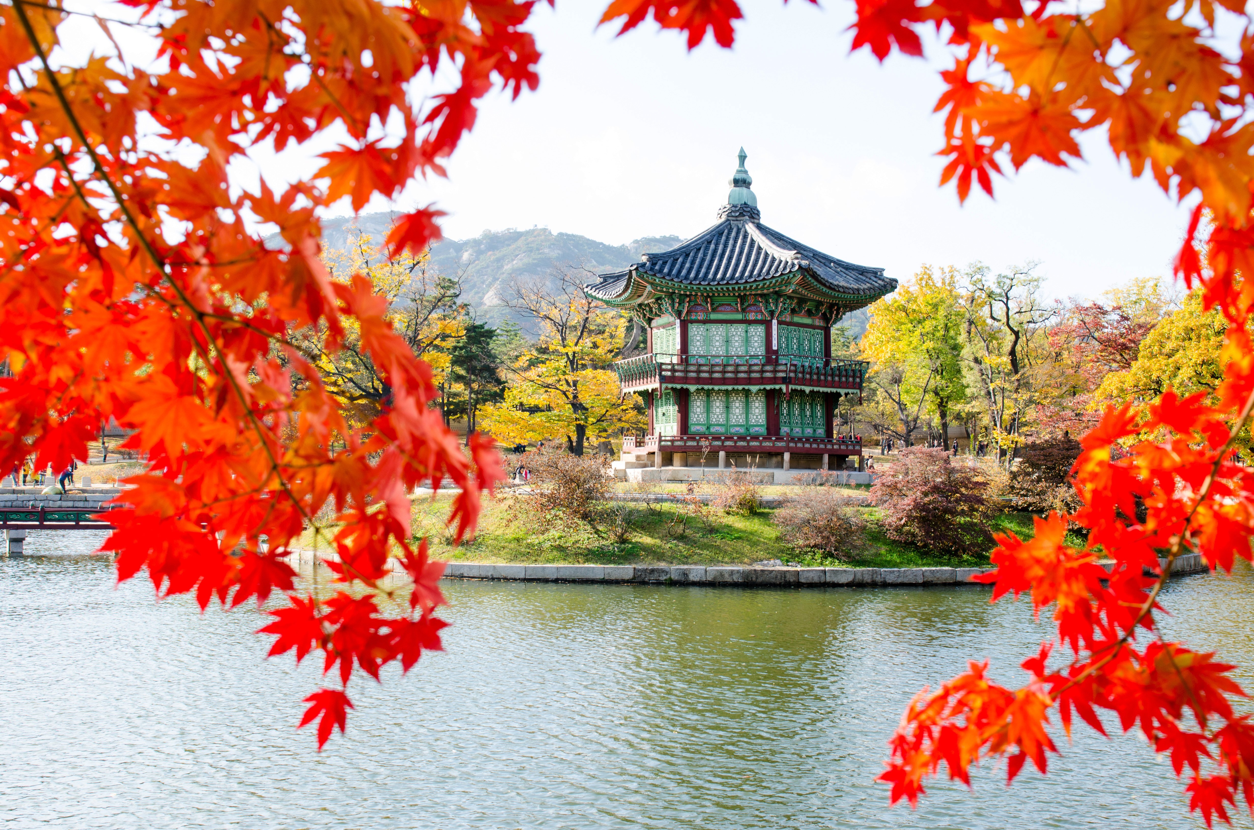 The Best of Both Worlds: 8 Must-See Highlights on a Japan & South Korea <span class="hs-search-highlight hs-highlight-title">Tour</span>