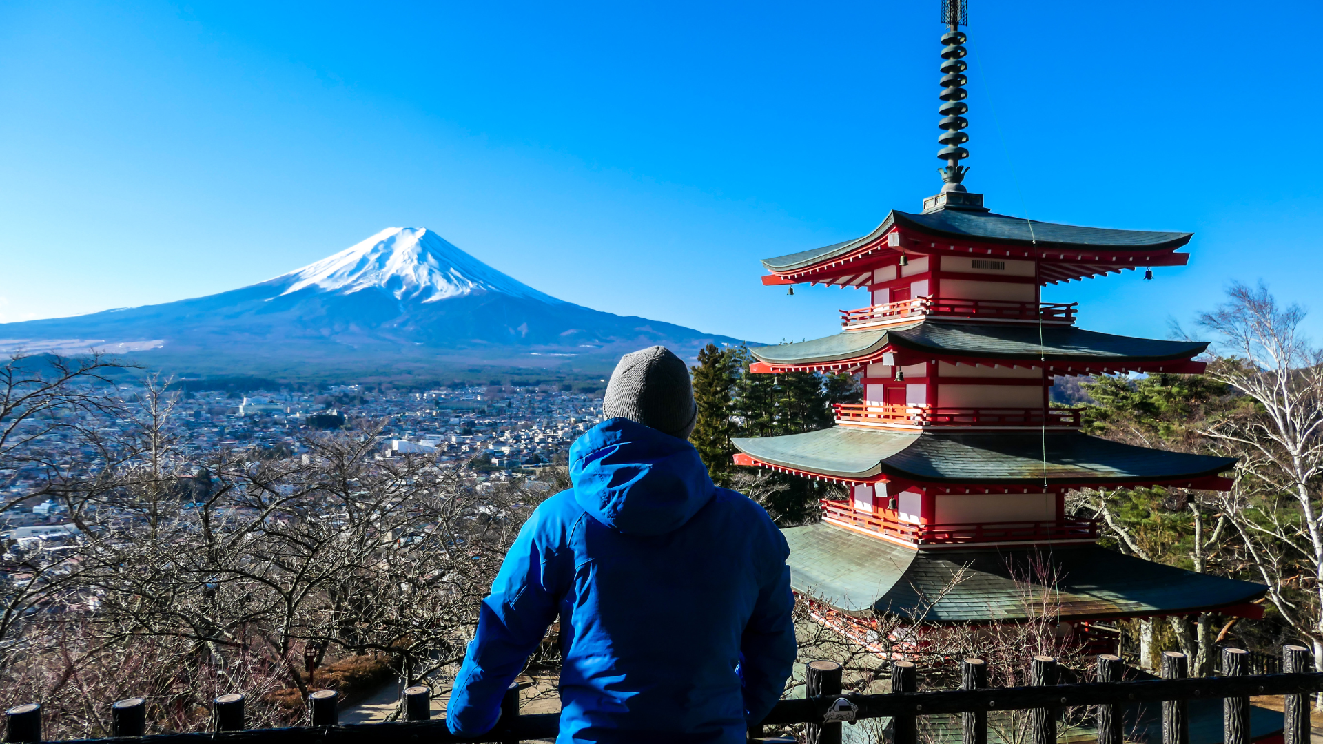 Japan All Year Round: Why Thereâ€™s No Bad Time to Visit