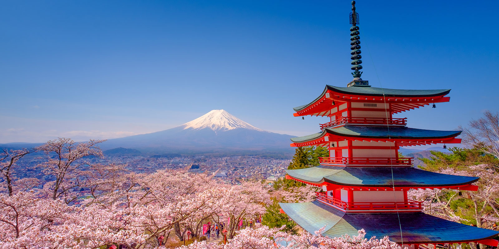Best Time to Visit Japan from Australia: Seasons, Cherry Blossoms & Travel Tips